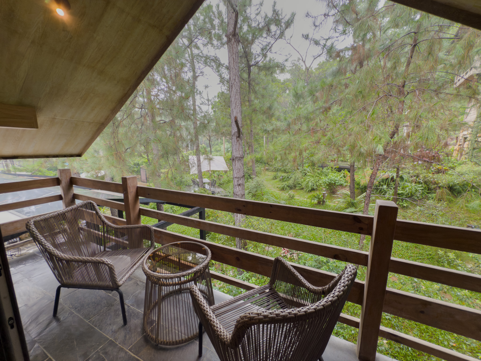 Copy of Copy of IMG_7785